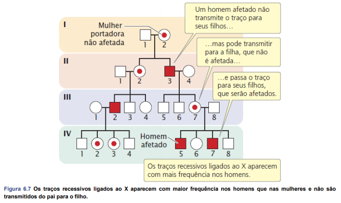 Princípios básicos da hereditariedade